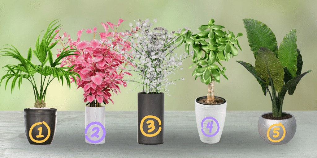 Teste de Personalidade: Qual dos 5 Vasos de Flores você é? Revele o segredo do seu otimismo inato!