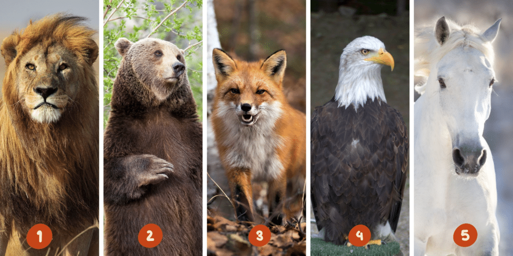 Teste de Personalidade: Qual dos 5 animais você é? Descubra os traços únicos que o caracterizam!