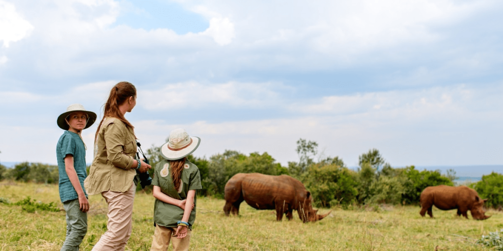 Guia definitivo para um safari inesquecível: dicas e truques essenciais para a aventura de uma vida